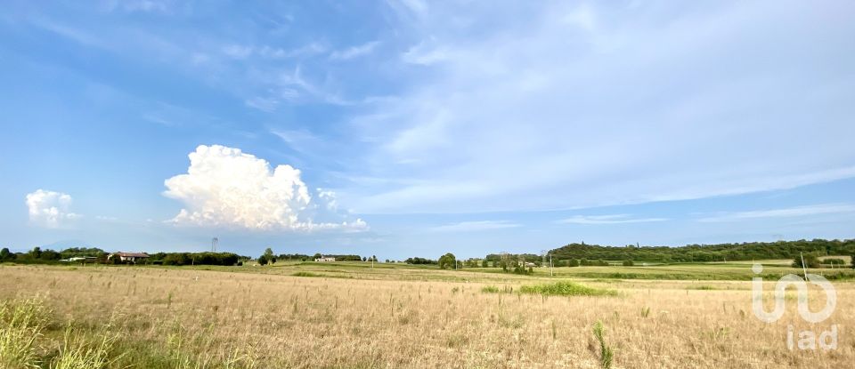 Agricultural land of 115,060 m² in Monzambano (46040)