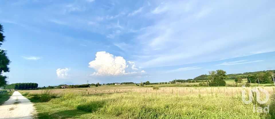 Agricultural land of 115,060 m² in Monzambano (46040)