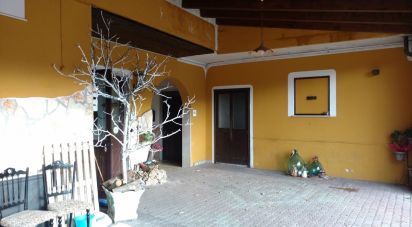 Shop / premises commercial of 139 m² in Cerreto Sannita (82032)