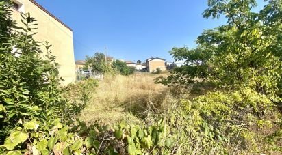 Land of 1,443 m² in Guidizzolo (46040)