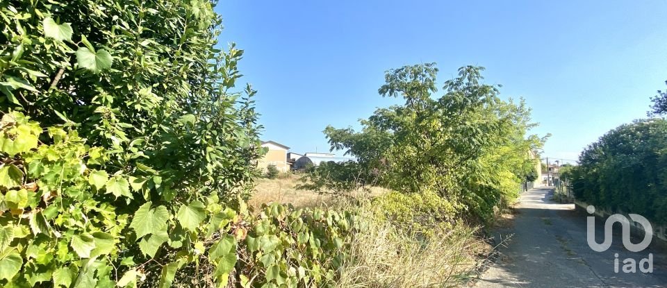 Land of 1,443 m² in Guidizzolo (46040)