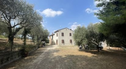 Farm 14 rooms of 340 m² in Civitanova Marche (62012)