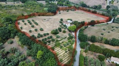 Farm 14 rooms of 340 m² in Civitanova Marche (62012)