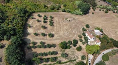 Farm 14 rooms of 340 m² in Civitanova Marche (62012)