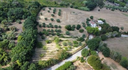 Farm 14 rooms of 340 m² in Civitanova Marche (62012)