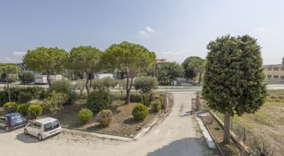 Costruzione di 385 m² in Treia (62010)