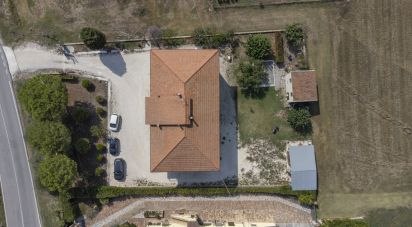 Costruzione di 385 m² in Treia (62010)