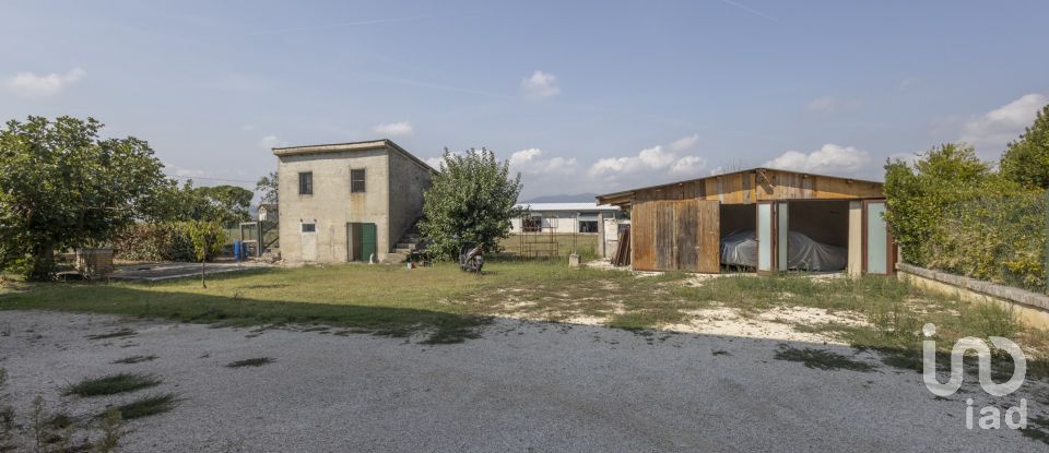 Villa Bifamiliare 7 locali di 200 m² a Treia (62010)