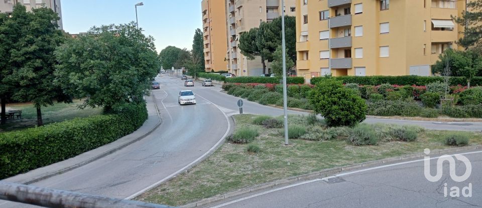 Attività locali di 25 m² in Senigallia (60019)