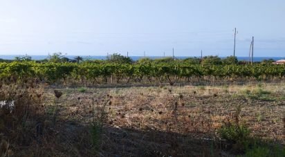 Land of 5,000 m² in Sorso (07037)