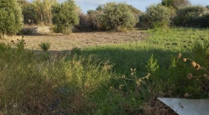 Terreno di 5.000 m² in Sorso (07037)