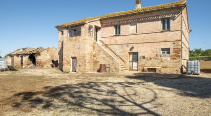 Country house 0 rooms of 420 m² in Osimo (60027)