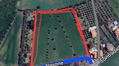 Terreno di 13.000 m² in Mosciano Sant'Angelo (64023)