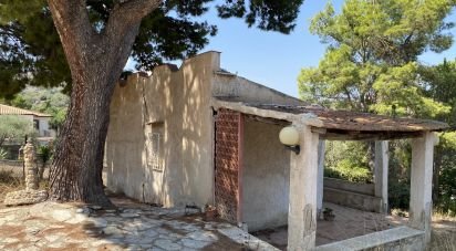 Farm 1 room of 23 m² in Termini Imerese (90018)