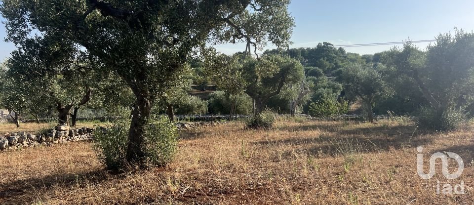 Trullo 3 locali di 55 m² in Martina Franca (74015)