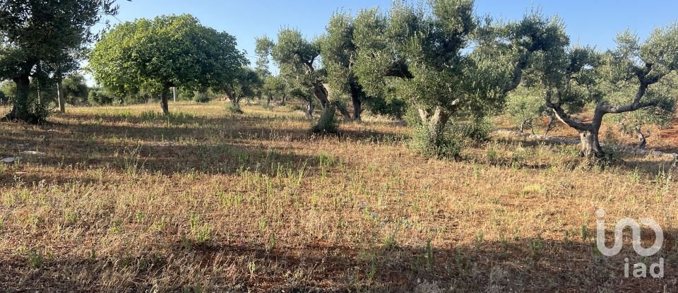 Trullo 3 locali di 55 m² in Martina Franca (74015)