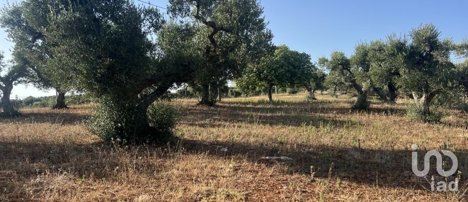 Trullo 3 locali di 55 m² in Martina Franca (74015)