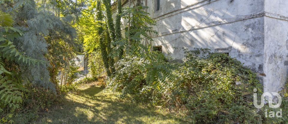 Casa indipendente 0 locali di 180 m² in Castelfidardo (60022)