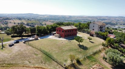 Farm 5 rooms of 250 m² in Osimo (60027)