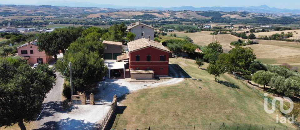 Farm 5 rooms of 250 m² in Osimo (60027)