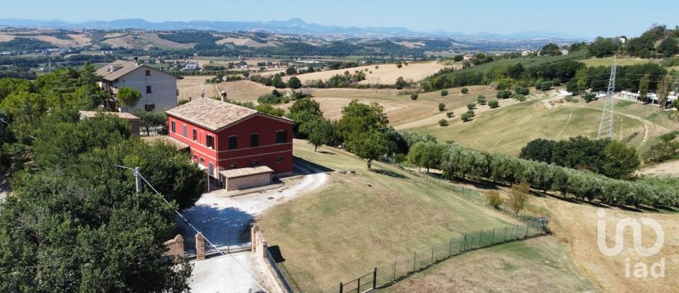 Farm 5 rooms of 250 m² in Osimo (60027)