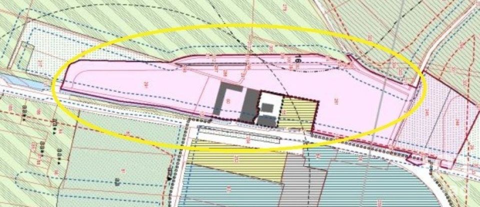 Terreno di 17.000 m² in Lonato del Garda (25017)