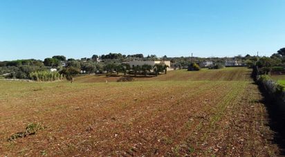 Land of 9,000 m² in Martina Franca (74015)