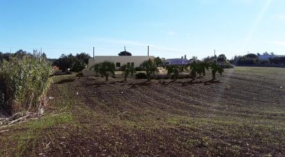 Terreno di 9.000 m² in Martina Franca (74015)