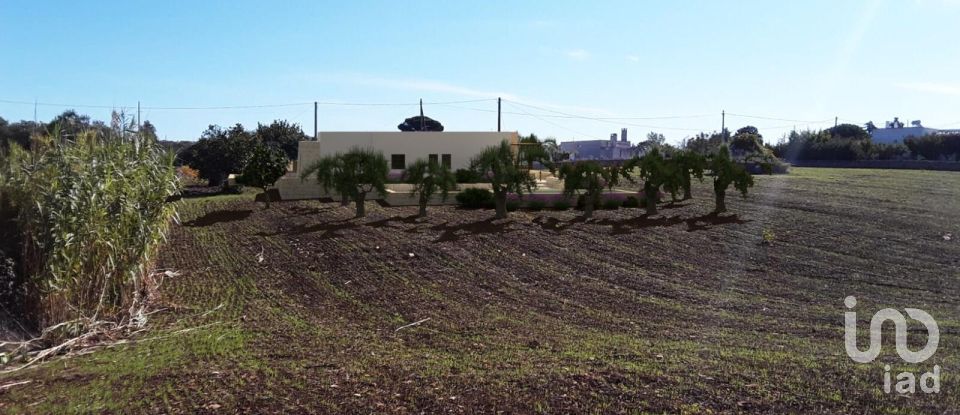 Land of 9,000 m² in Martina Franca (74015)