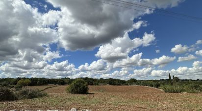 Terreno di 9.000 m² in Martina Franca (74015)