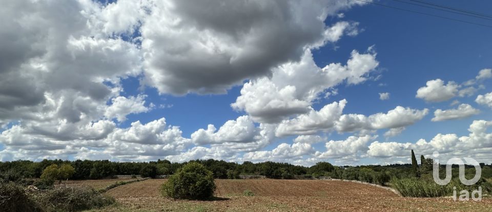 Land of 9,000 m² in Martina Franca (74015)