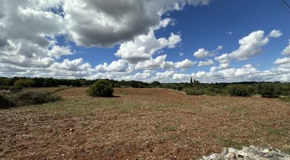 Terreno di 9.000 m² in Martina Franca (74015)