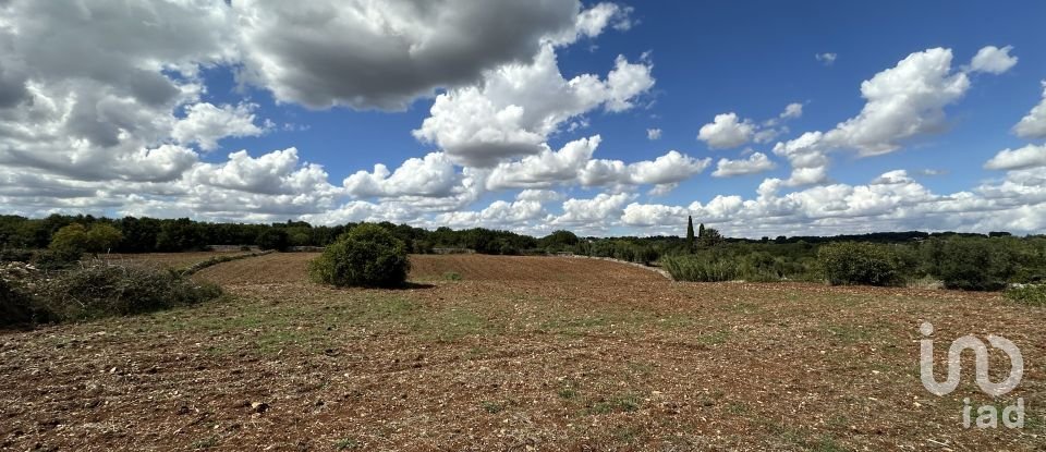 Land of 9,000 m² in Martina Franca (74015)