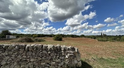 Terreno di 9.000 m² in Martina Franca (74015)