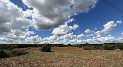 Terreno di 9.000 m² in Martina Franca (74015)