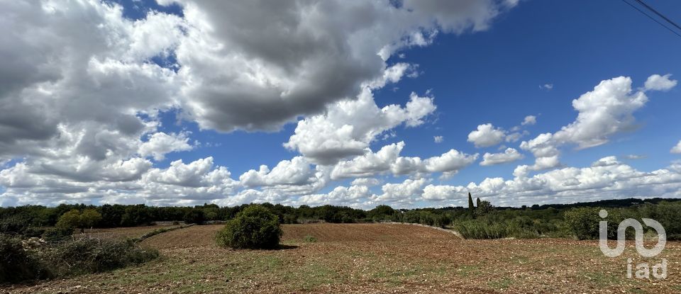 Land of 9,000 m² in Martina Franca (74015)