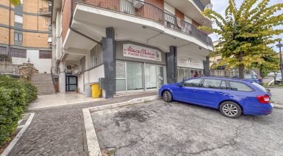 Appartamento 0 locali di 220 m² a Montegranaro (63812)