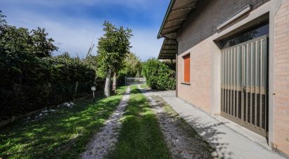 Casa indipendente 9 locali di 400 m² in Argenta (44016)