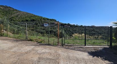 Terreno agricolo di 1.534 m² in Arnasco (17032)