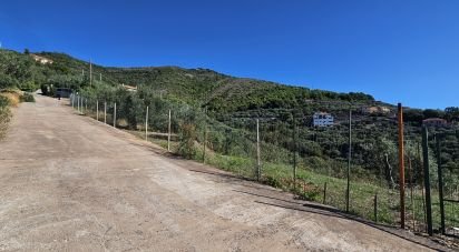 Terreno agricolo di 1.534 m² in Arnasco (17032)