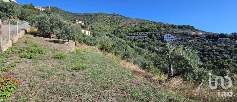 Terreno agricolo di 1.534 m² in Arnasco (17032)