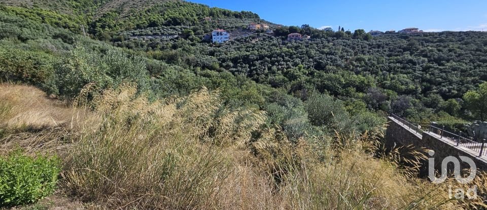 Terreno agricolo di 1.534 m² in Arnasco (17032)