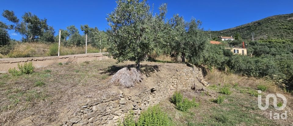 Agricultural land of 1,534 m² in Arnasco (17032)