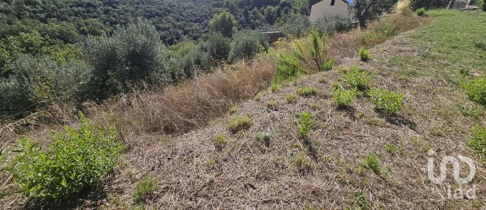 Terreno agricolo di 1.534 m² in Arnasco (17032)