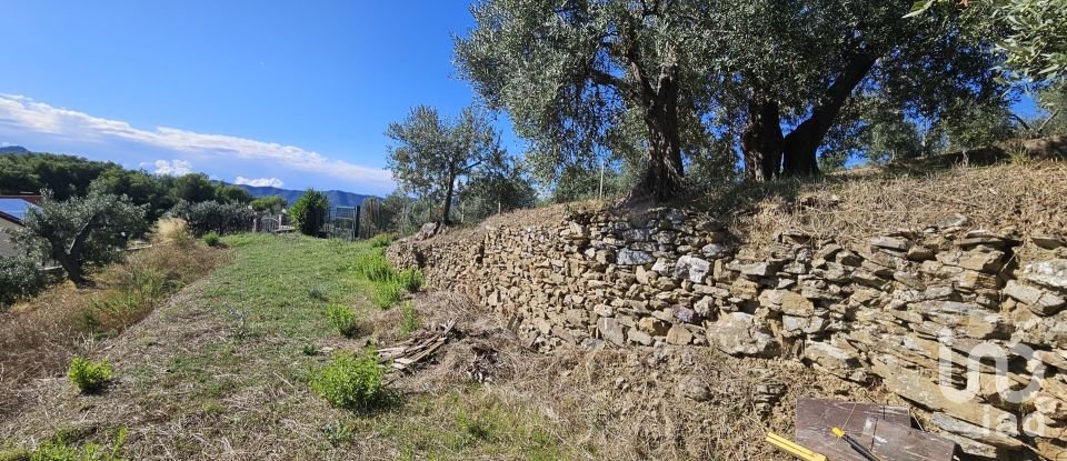 Agricultural land of 1,534 m² in Arnasco (17032)