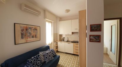 Two-room apartment of 43 m² in Santo Stefano al Mare (18010)