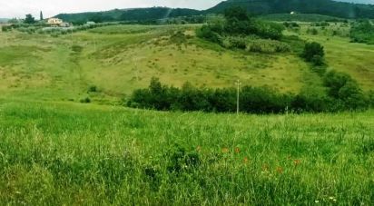 Land of 110,000 m² in Magliano in Toscana (58051)