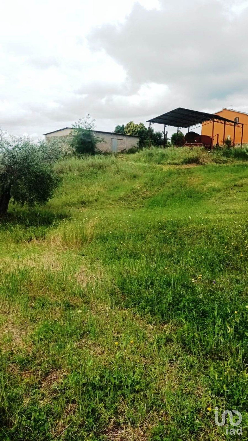 Terreno di 130.000 m² in Magliano in Toscana (58051)