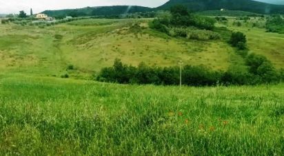 Land of 130,000 m² in Magliano in Toscana (58051)