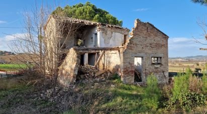 Land of 1,500 m² in Castelfidardo (60022)